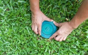 Bẫy diệt mối là gì? Bẫy diệt mối mọt có hiệu quả hay không?