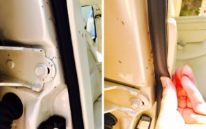 Chia sẻ kinh nghiệm diệt kiến trên xe ô tô hiệu quả