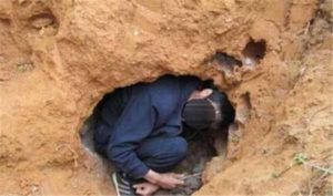 Hướng dẫn cách trị mối tại nhà theo cách thủ công từ A đến Z 19 Hướng dẫn cách trị mối tại nhà theo cách thủ công từ A đến Z