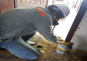 Mách bạn địa chỉ diệt mối ở tphcm chuyên nghiệp, giá rẻ