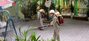 Bí quyết diệt mối trong lòng đất nhanh chóng hiệu quả