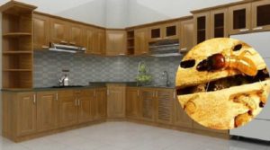 Cách diệt mối cho tủ chén gỗ đơn giản ngay tại nhà