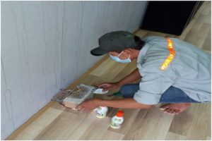 Cách diệt mối vách ngăn gỗ trang trí cho phòng khách cực đơn giản