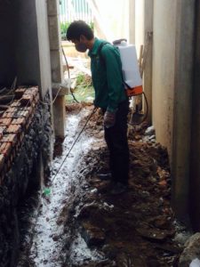 Hướng dẫn cách phòng chống mối tại nhà từ A đến Z