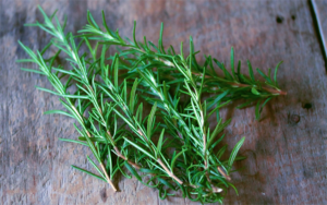 Mách bạn cách diệt ruồi tự nhiên đảm bảo không độc hại