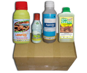 Phương pháp diệt mối hiệu quả nhất hiện nay là gì?