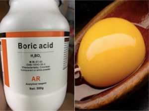 Top 3 cách diệt gián trong nhà bếp hiệu quả bạn nên thử ngay hôm nay