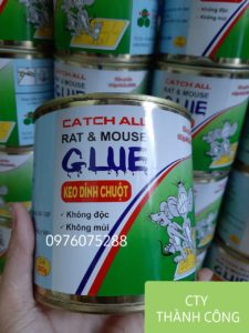 Keo Dính Chuột Glue 1 2b0ef5fae36705395c76 1