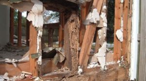 3 tác hại của mối mọt đối với nhà ở khiến bạn phải giật mình 9 3 tac hai cua moi mot doi voi nha o khien ban phai giat minh 1