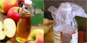 Mẹo diệt ruồi giấm trong nhà bếp cực hay ít ai biết 5 meo diet ruoi giam trong nha bep cuc hay it ai biet 1