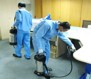 Ở đâu cung cấp dịch vụ diệt mối chuyên nghiệp tại tphcm? 11 o dau cung cap dich vu diet moi chuyen nghiep tai tphcm 1