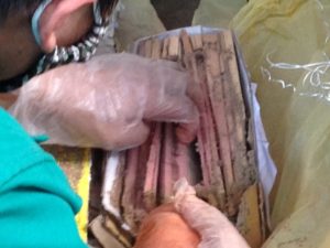 Làm thế nào để diệt mối cho quán ăn hiệu quả nhất?