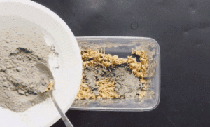 Những lợi ích không ngờ khi diệt chuột bằng xi măng tại nhà 16 Những lợi ích không ngờ khi diệt chuột bằng xi măng tại nhà