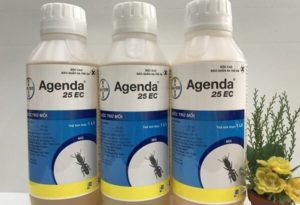 Top 3 loại thuốc diệt mối tận gốc tốt nhất hiện nay 3 Top 3 loại thuốc diệt mối tận gốc tốt nhất hiện nay