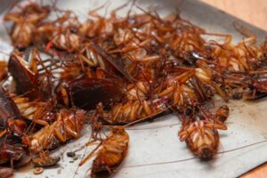 Sử dụng thuốc diệt gián