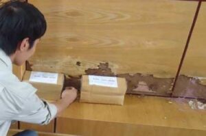 cach diet moi sinh hoc 380x252 1