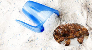 Tại sao nên diệt gián tận gốc?