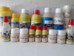 thuoc diet moi co doc khong 1