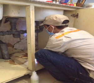 dich vu diet moi.jpg1