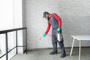 Công ty diệt mối Hà Nội Thành Công