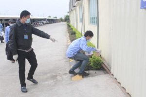 Tìm hiểu về dịch vụ diệt mối tại nhà Thành Công 8 chi phi diet moi