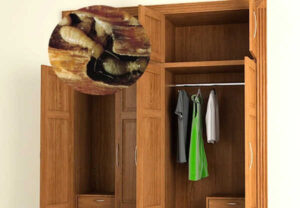 Có những cách tiêu diệt mối nào an toàn hiệu quả? 2 Mối tấn công đồ gỗ