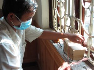 Có cách nào xử lý mối mọt tại nhà hiệu quả hay không? 6 Điểm nổi bật, sự khác biệt của cách thức diệt mối sinh học