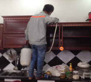 Bật mí cách diệt mối tại nhà nhanh chóng 14 Bật mí cách diệt mối tại nhà nhanh chóng