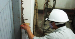 Dịch vụ diệt mối quận Gò Vấp giá rẻ nhất hiện nay 13 Công ty diệt mối tận gốc Thành Công