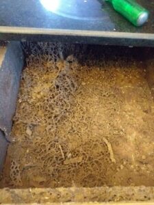 Dịch vụ diệt mối tại TPHCM nào tốt nhất hiện nay? 5 z3760893109536 9f29879128108268d9e5d081a59b27ed