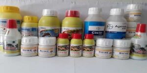 thuoc diet moi tai nha 2 1