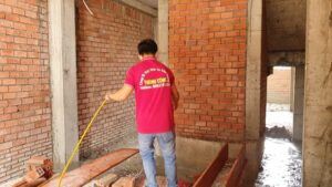 Lý do phải phòng chống mối trước khi xây nhà? Một số phương pháp diệt mối cho công trình hiệu quả! 7 z3760891703689 11656df5a05c3f7950a9900d28b07cc8 1