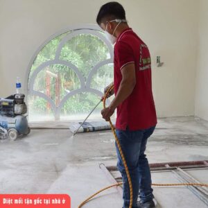 Có nên sử dụng dịch vụ diệt mối tận gốc chuyên nghiệp? 1 z3760892236117 79299ad0d4d5d8c27af5889795414419 1