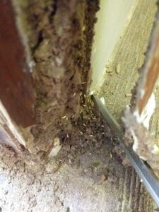 z3760892358549 6f3ada8ab1826f183a2f5ed766db9ef5