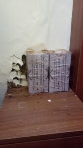 Diệt mối bằng phương pháp sinh học có nên hay không? 29 z3760892975633 8df85a4a8124981ac532da5d0a57008a