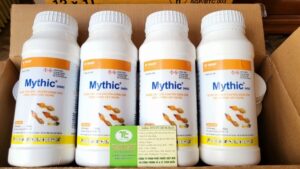 z3760893050417 0e15b47976aeb7a9b2dd89123414d779