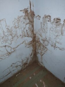 z3799623868844 2b6db21bdf62e9b8bdc079bb56285daf