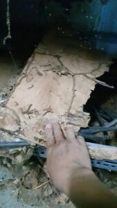 z3799623934971 b1c89521fb6adef62bc81a01816baf74