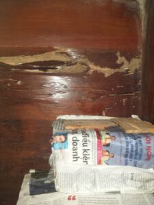 9 Cách diệt mối tận gốc tại nhà đơn giản hiệu quả 8 diet moi 1