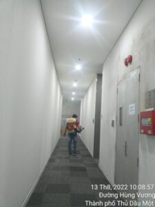 Diệt mối căn hộ chung cư có cần thiết không? Phương pháp diệt mối nhà chung cư hiệu quả 18 z3799623951118 34cb26f12f28b6f15e25ab542d59b6f4