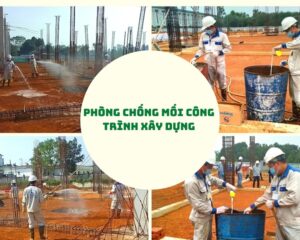 phongchongmoicongtrinh 2