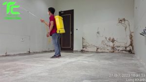 5 Phương pháp phun thuốc diệt mối tự nhiên an toàn hiệu quả có thể bạn chưa biết 12 5 Phương pháp phun thuốc diệt mối tự nhiên an toàn hiệu quả có thể bạn chưa biết