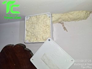 Bả diệt mối nào tốt nhất hiện nay? 11 Bả diệt mối nào tốt nhất hiện nay?