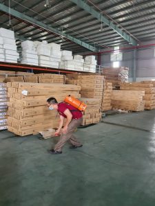 Dịch vụ diệt mối kho xưởng chuyên nghiệp tại TPHCM 19 Dịch vụ diệt mối kho xưởng chuyên nghiệp tại TPHCM