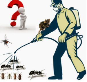 Dịch Vụ Diệt ruồi Tại TP.HCM 0982 751 119 4 4