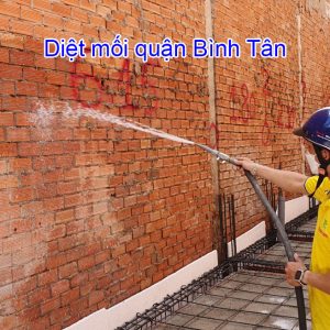 Dich Vu Diet Moi Quan Binh Tan