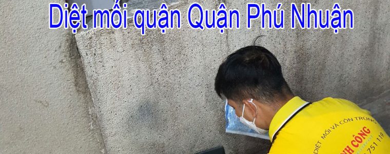 Dịch Vụ Diệt Mối Quận Phú Nhuận – 0982. 751. 119