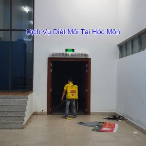 dich vu diet moi tai hoc mon