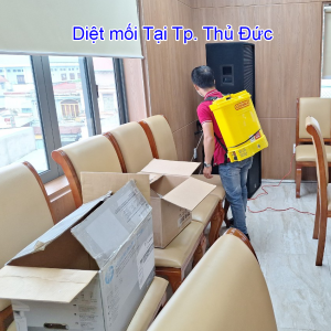 Dịch Vụ Diệt Mối Tp Thủ Đức – 0982. 751. 119 10 dịch vụ diệt mối tại tp thủ đức