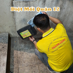 Dịch Vụ Diệt Mối Quận 12 19 Dịch vụ diệt mối quận 12